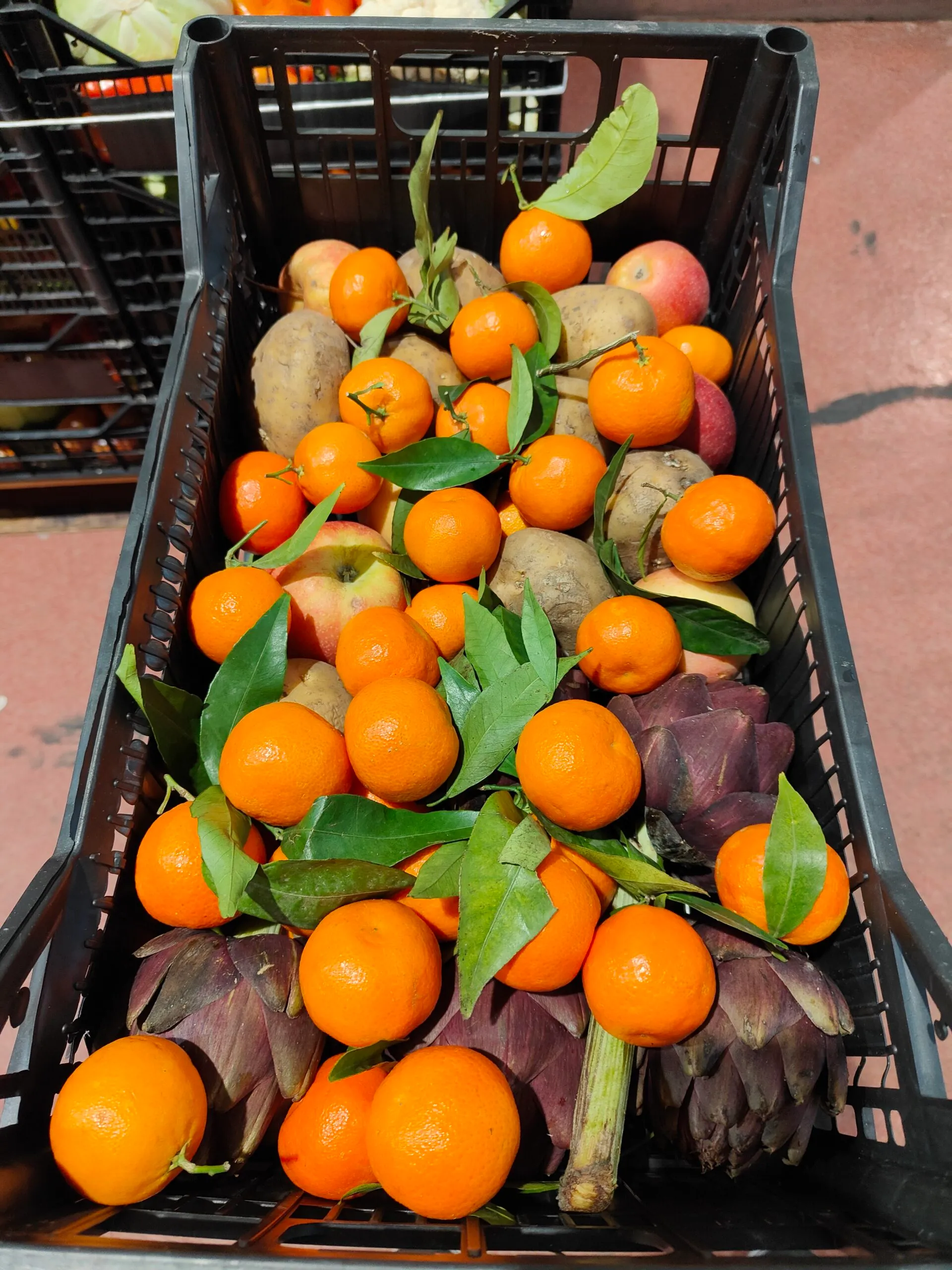 Operatori Orofruit al lavoro