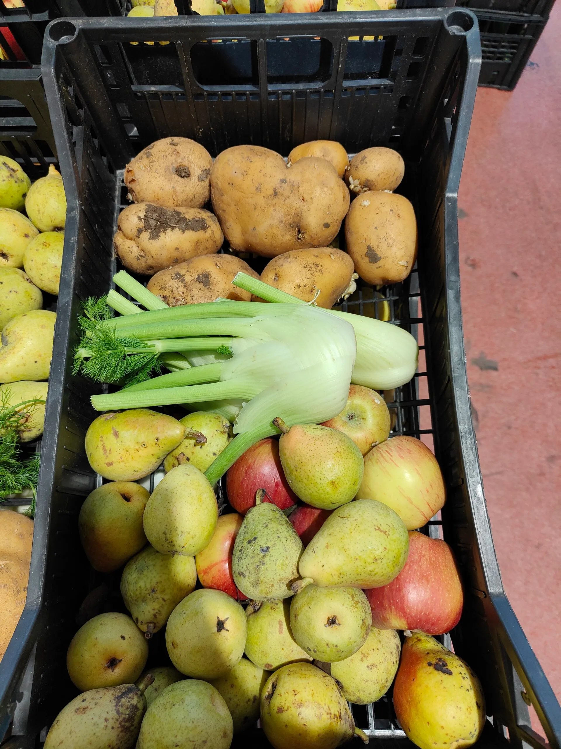 Operatori Orofruit al lavoro