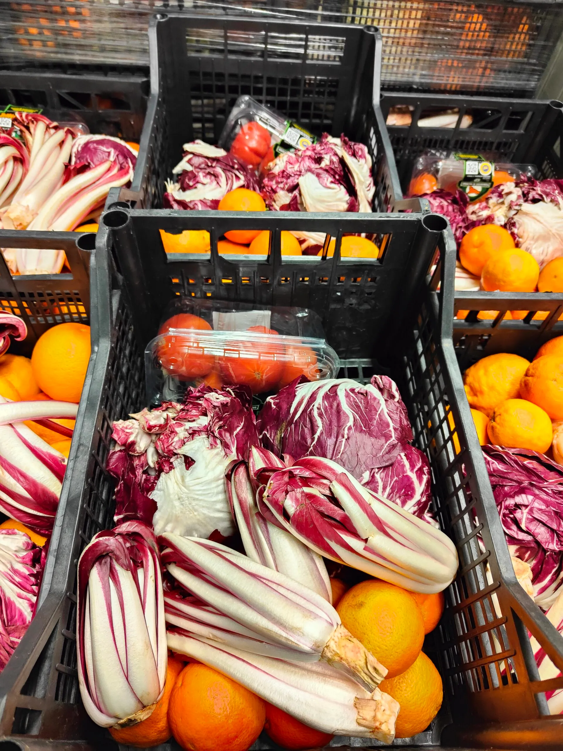 Operatori Orofruit al lavoro