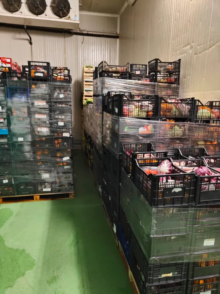 Operatori Orofruit al lavoro