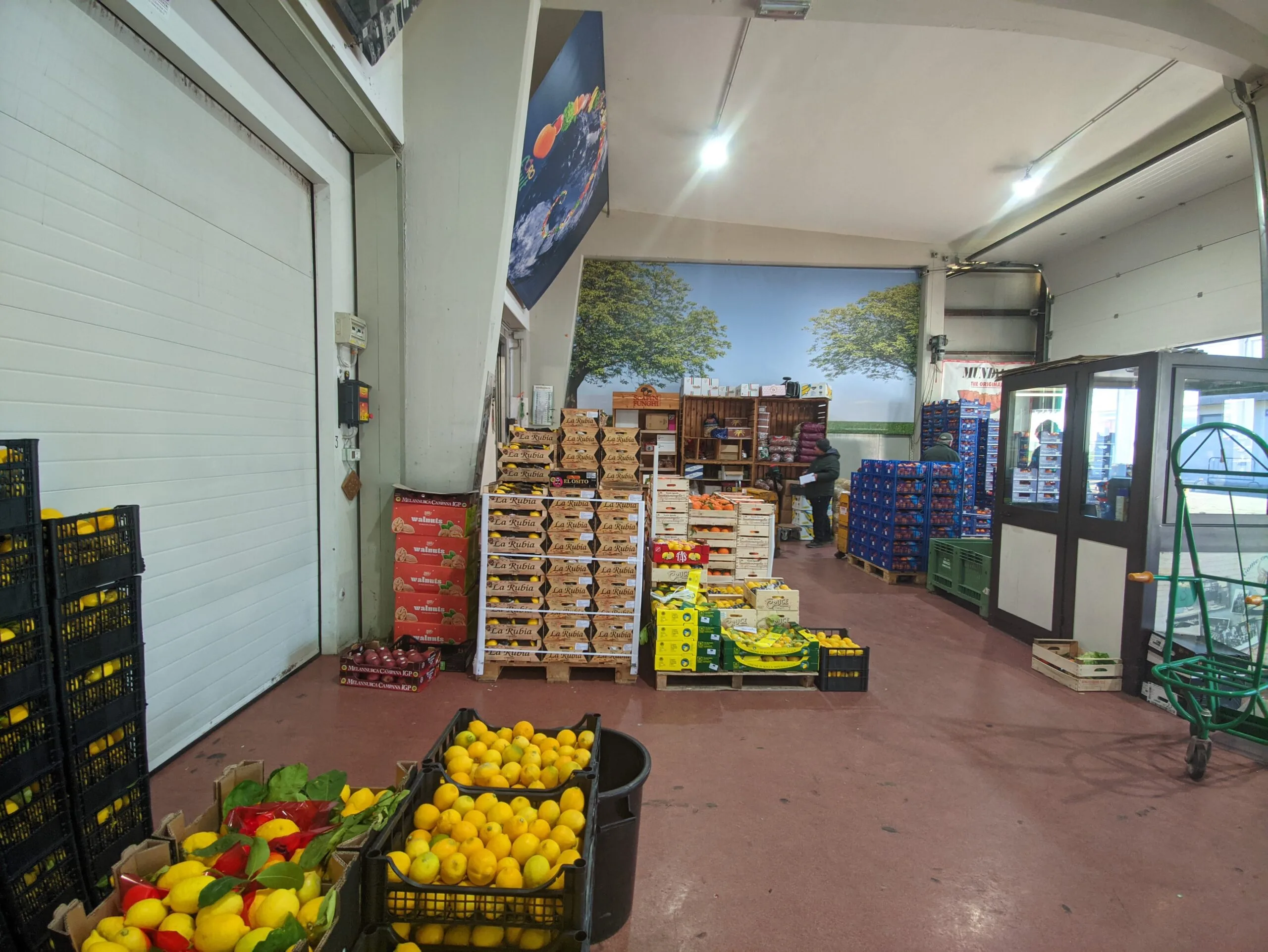 Frutta fresca esposta
