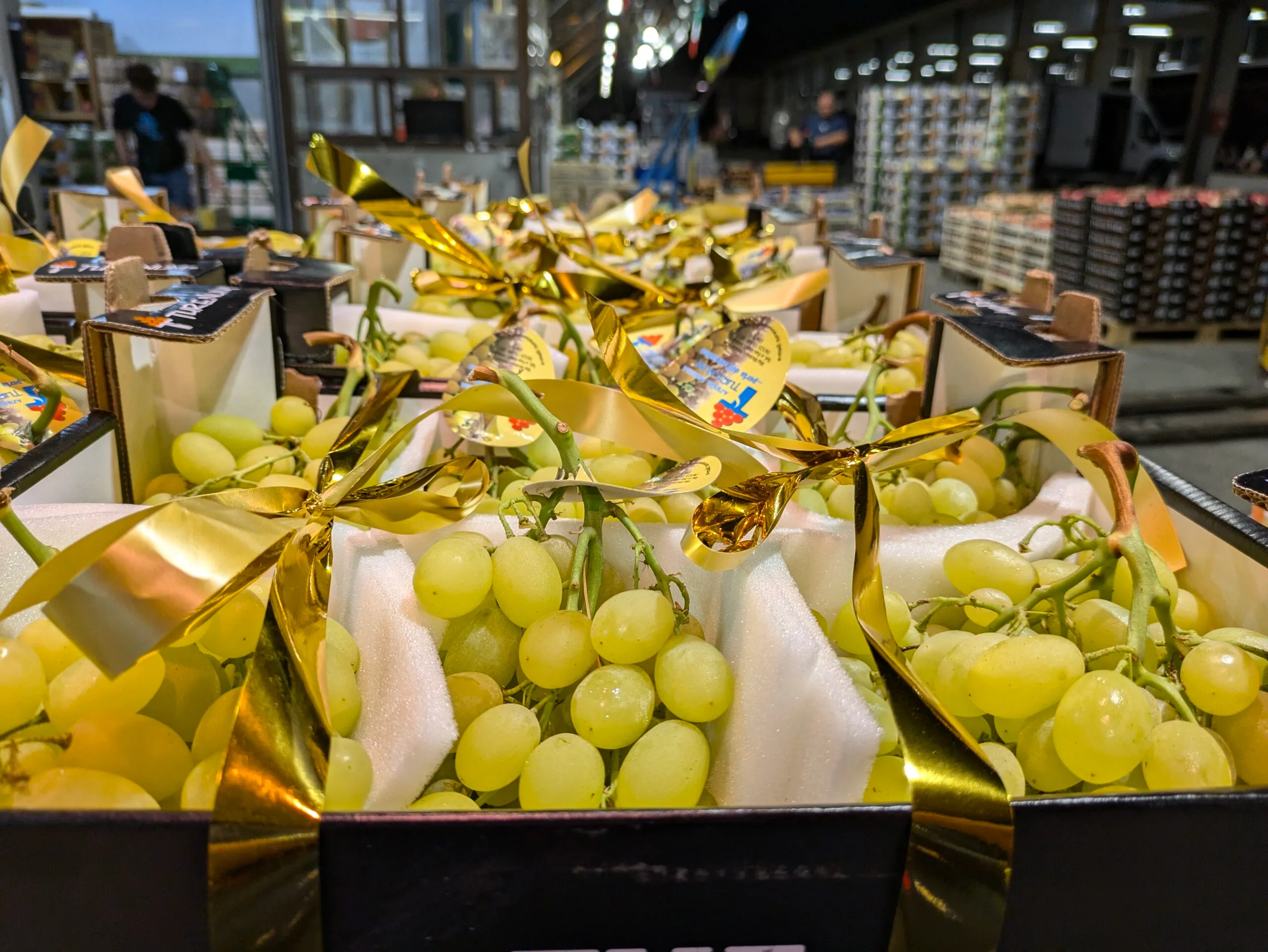 Verdura selezionata