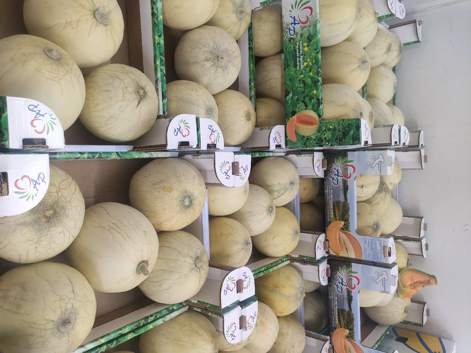 Allestimento del mercato